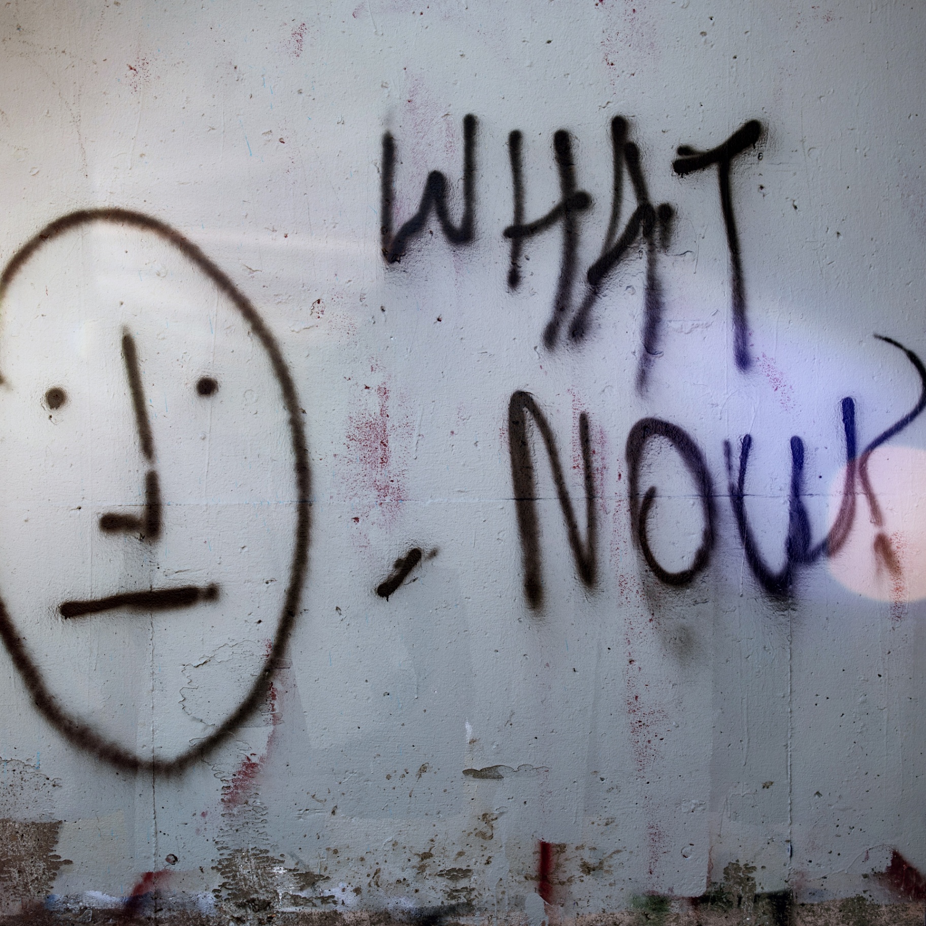 Frequently Asked Questions 